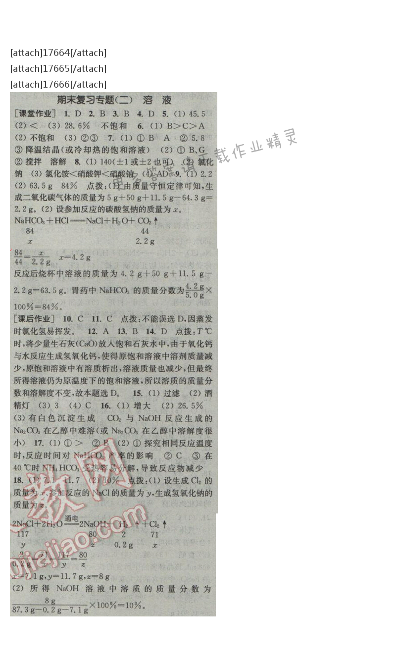 通城学典课时作业本九年级化学下册人教版 期末复习专题（二）