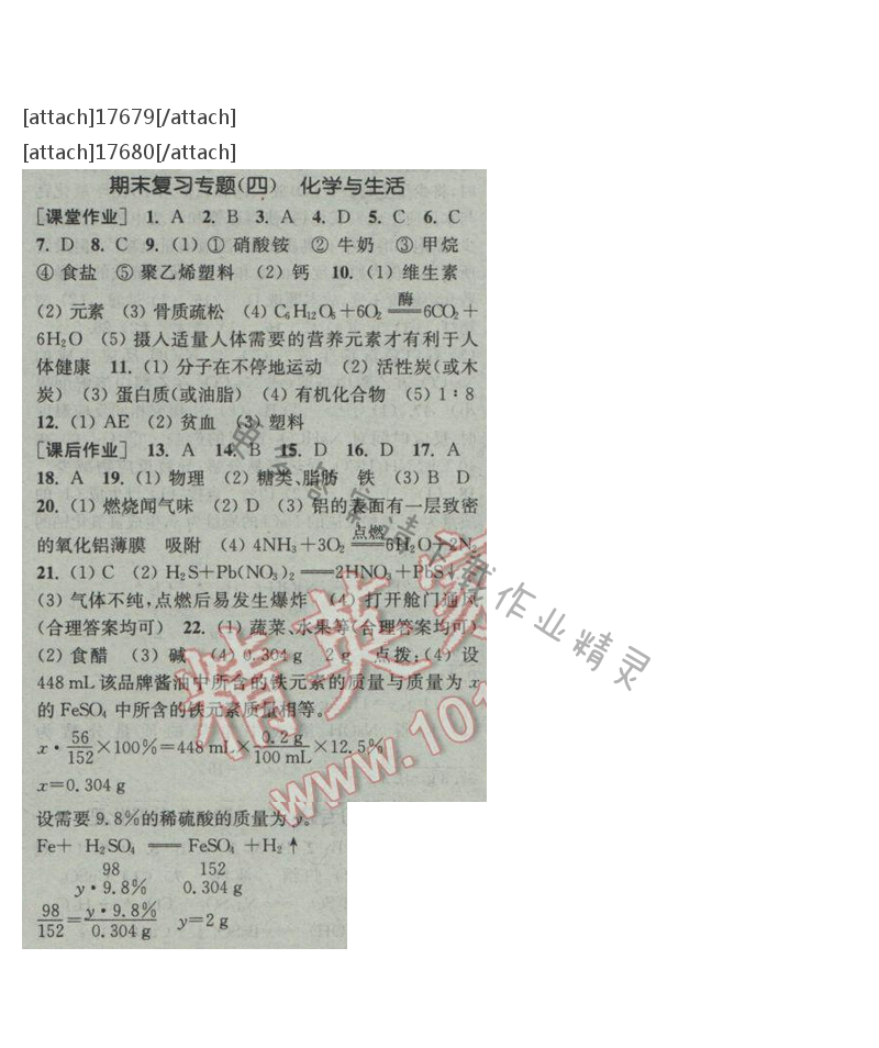 通城学典课时作业本九年级化学下册人教版 期末复习专题（四）