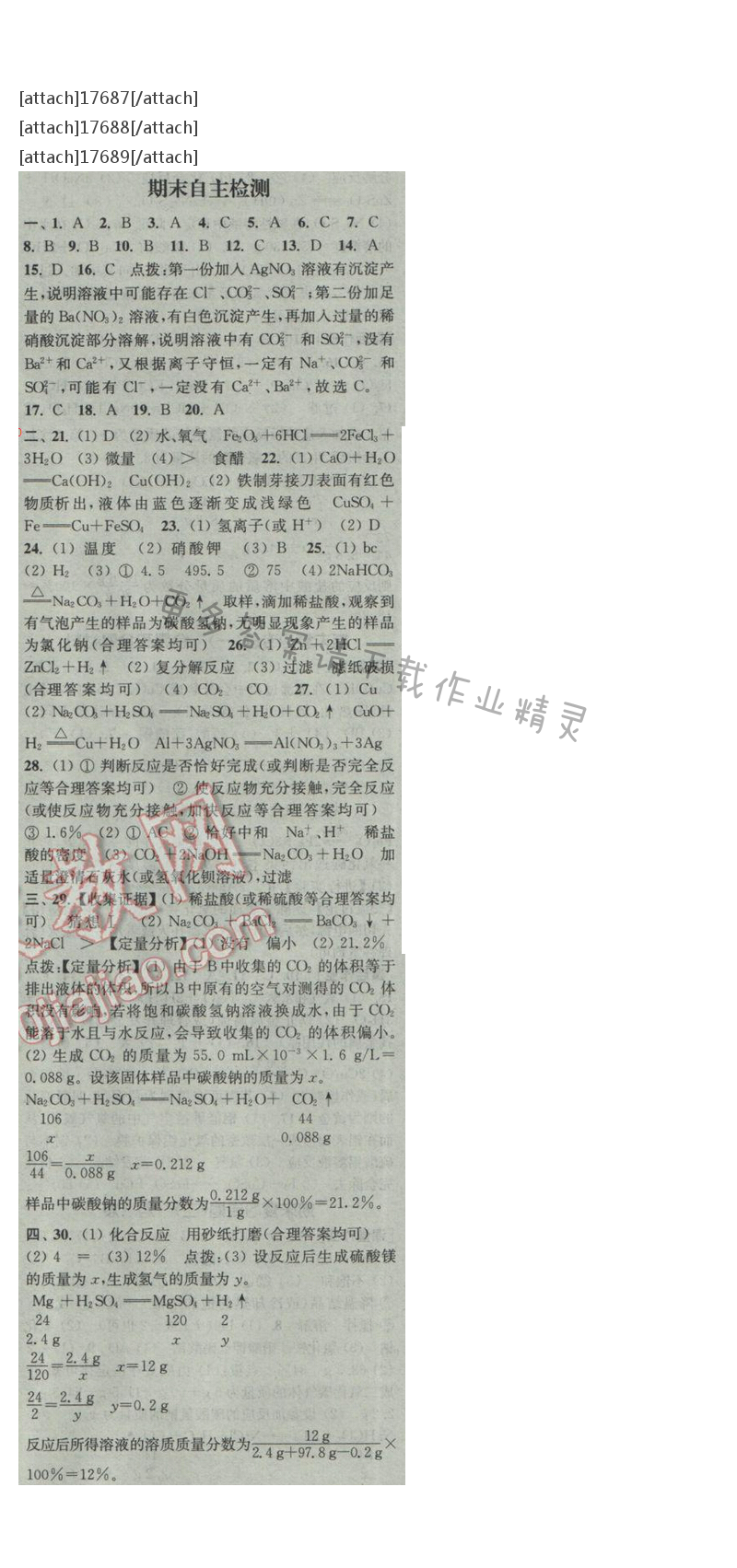 通城学典课时作业本九年级化学下册人教版 期末自测卷