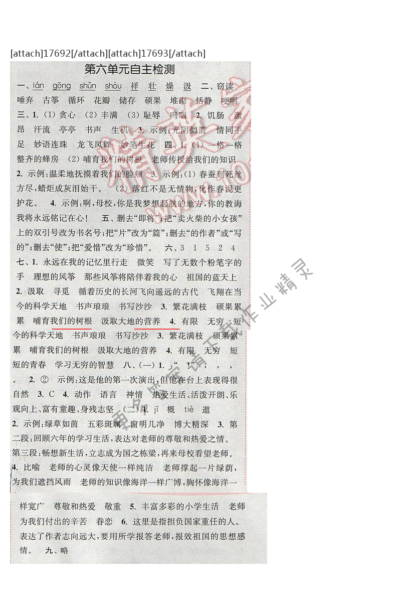 2017年通城学典六年级语文下册S版 第六单元自测卷