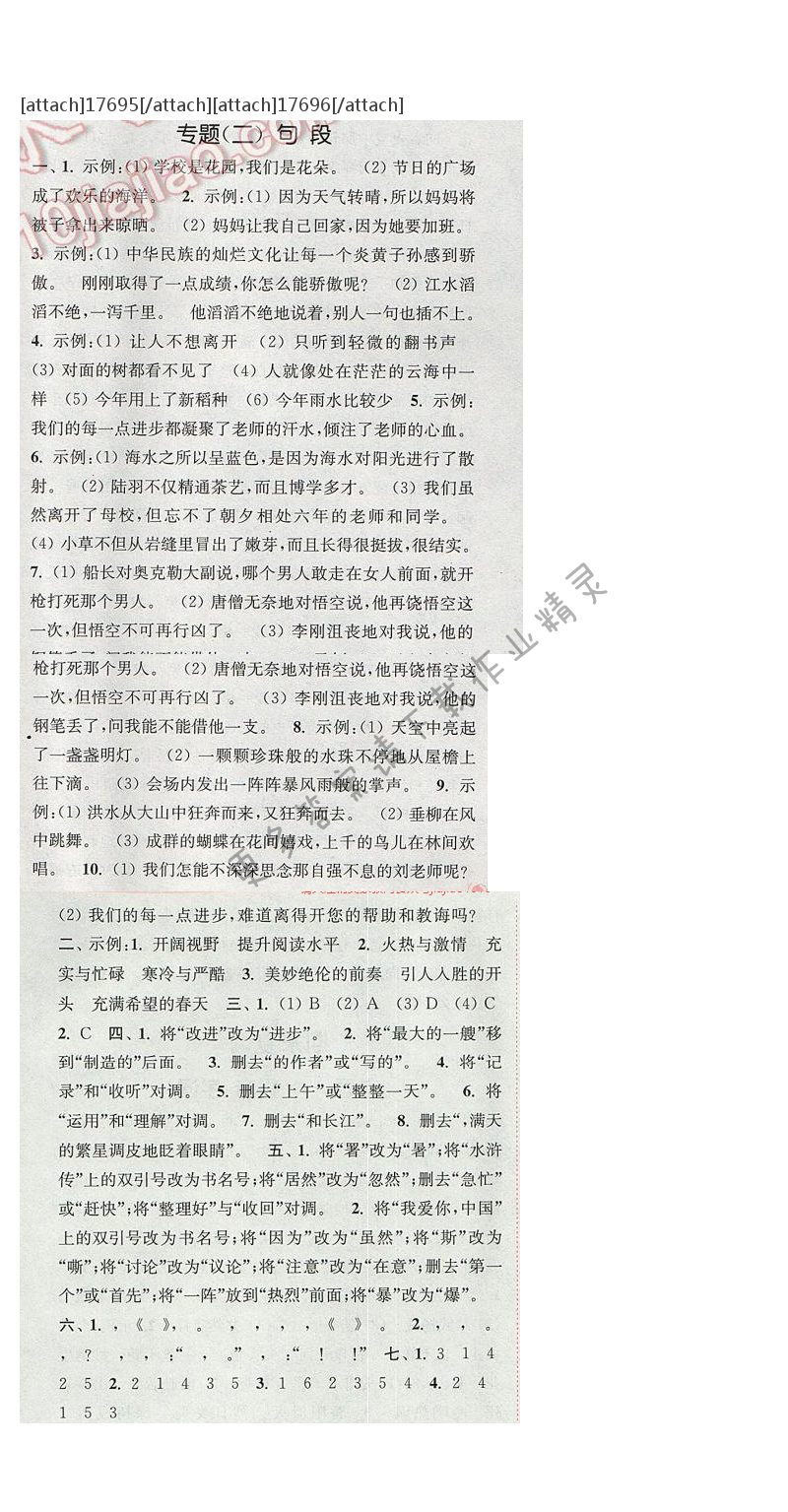 2017年通城学典六年级语文下册S版 期末复习 专题（二）