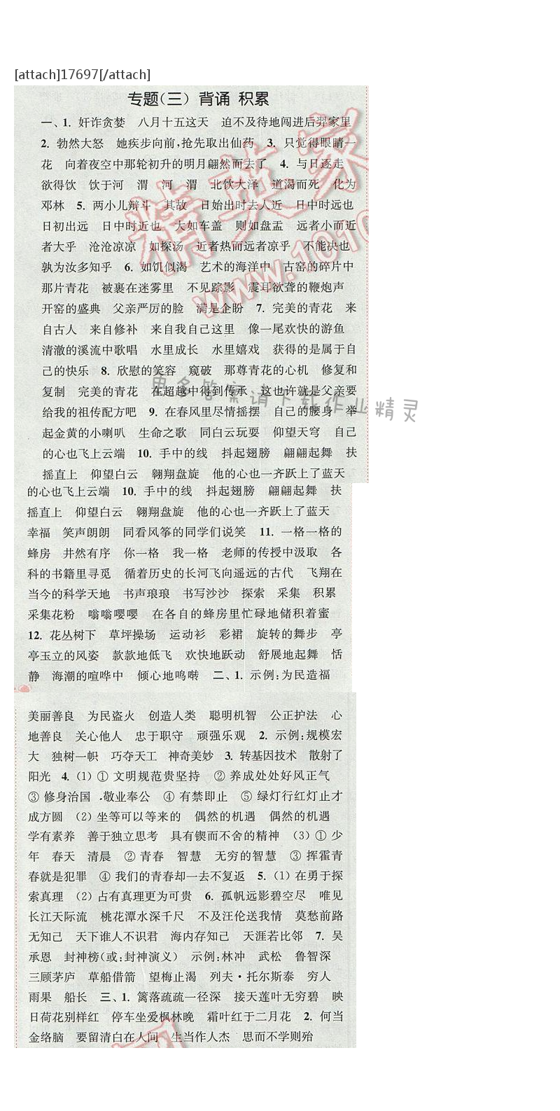 2017年通城学典六年级语文下册S版 期末复习 专题（三）
