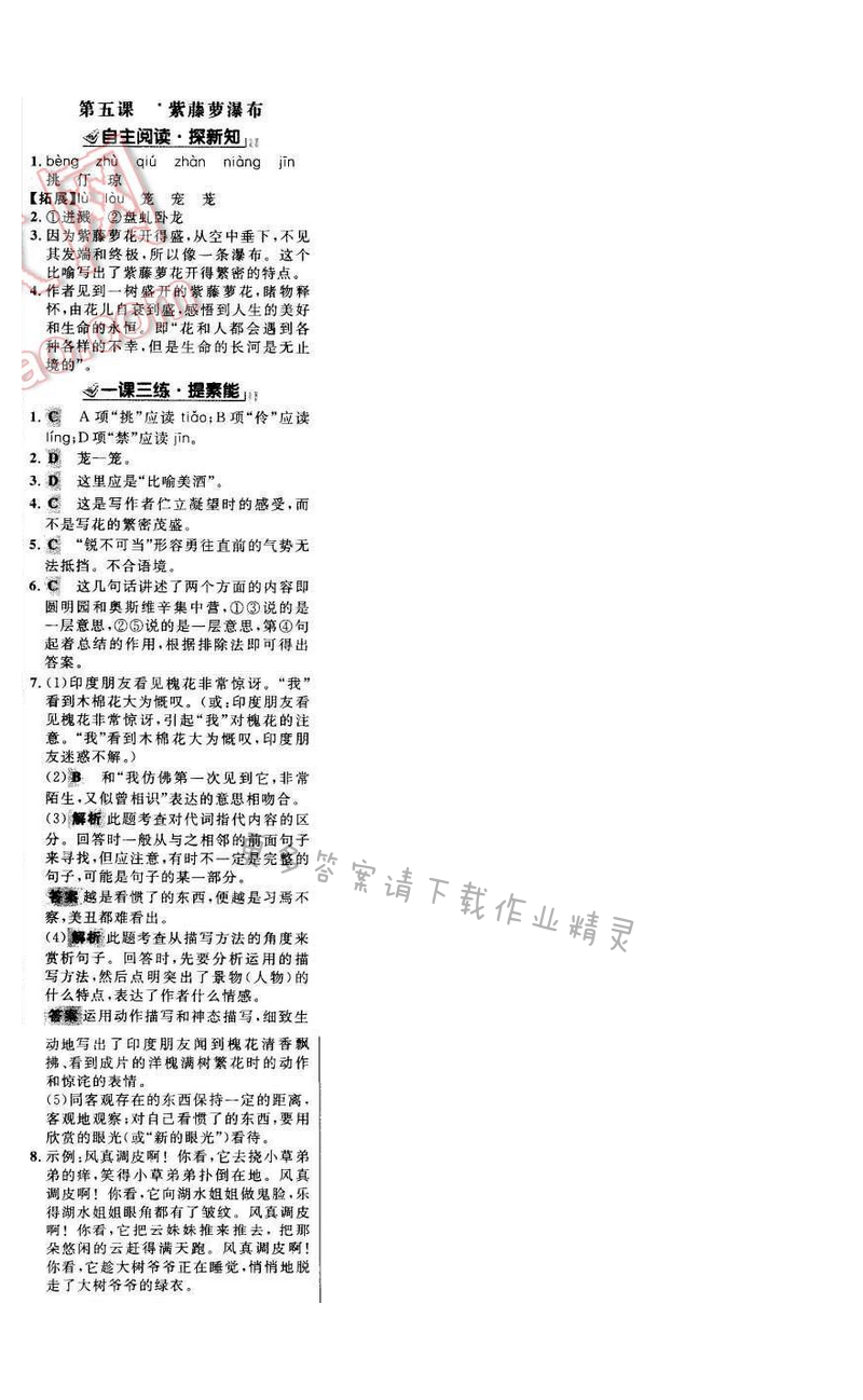 世纪金榜金榜学案八年级语文下册苏教版 第一单元 第五课