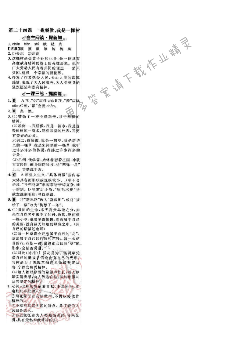 世纪金榜金榜学案八年级语文下册苏教版 第五单元 第二十四课