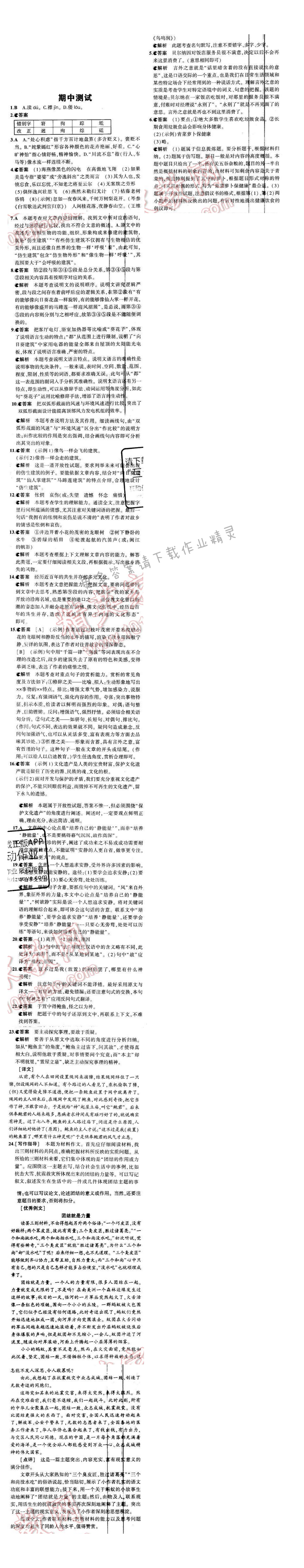 5年中考3年模拟初中语文八年级下册苏教版期中测试