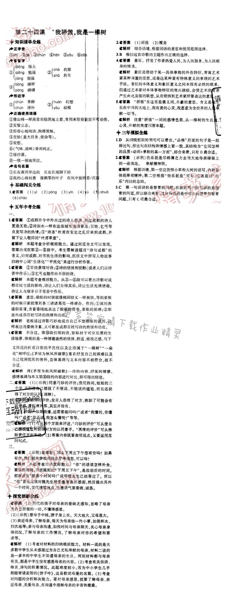 5年中考3年模拟初中语文八年级下册苏教版第五单元第二十四课