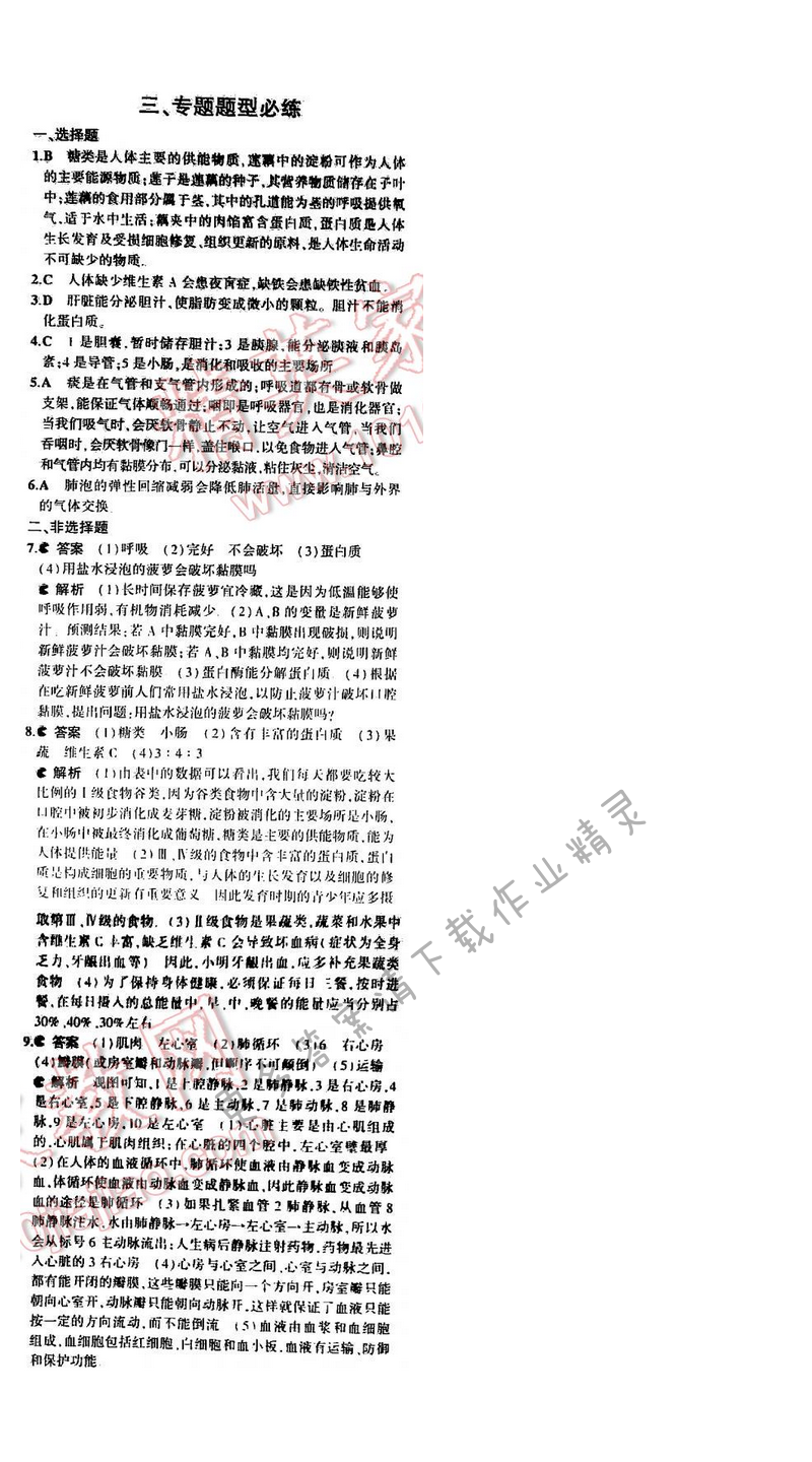 5年中考3年模拟初中生物七年级下册苏教版 期中复习专题整合 专题题型必练