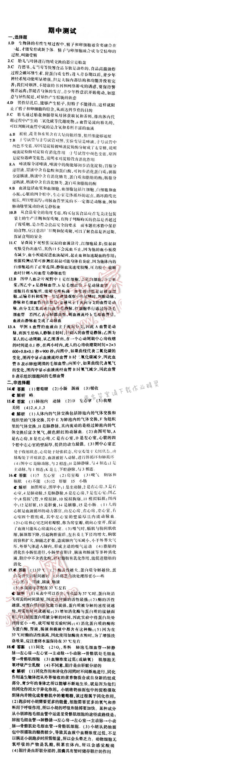 5年中考3年模拟初中生物七年级下册苏教版 期中复习专题整合 期中测试