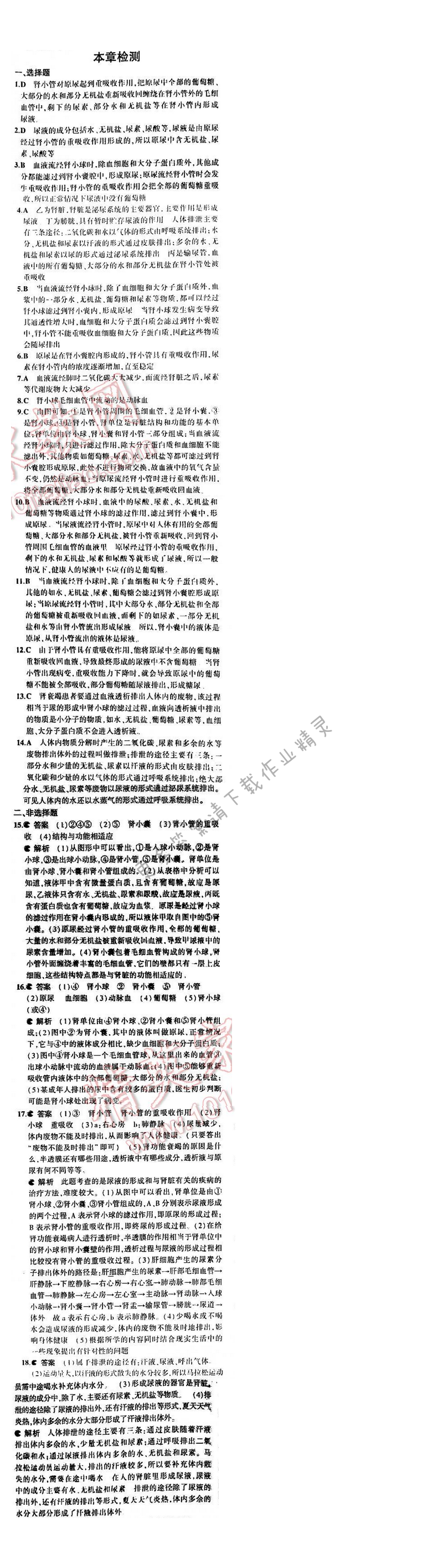 5年中考3年模拟初中生物七年级下册苏教版 第十一章 本章检测