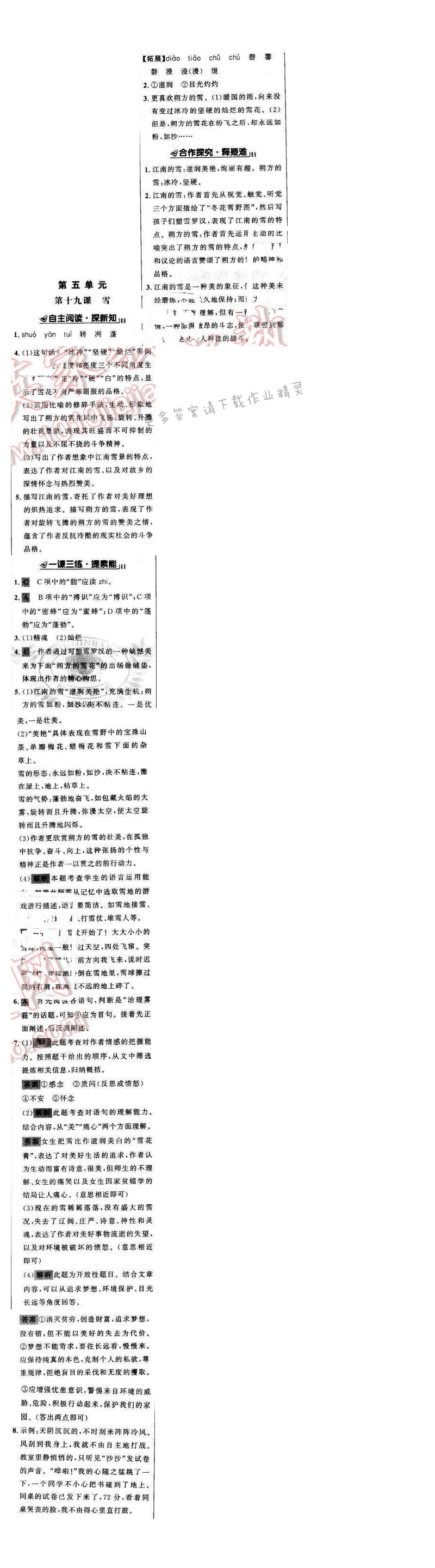 世纪金榜金榜学案九年级语文下册苏教版第五单元第十九课