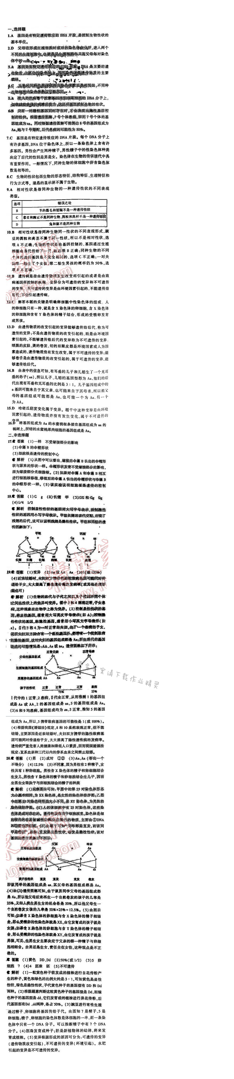 5中考3年模拟初中生物八年级下册苏教版8单元第二十二章 本章检测
