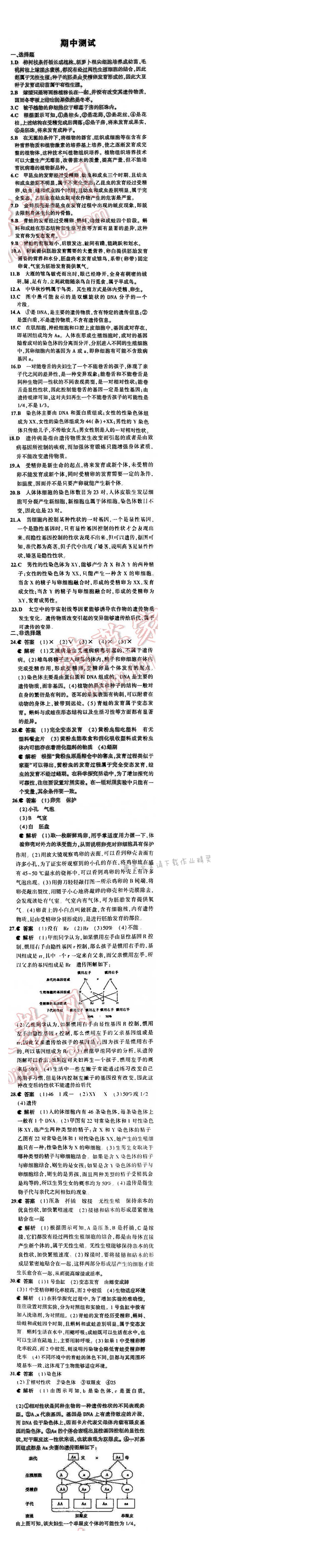 5中考3年模拟初中生物八年级下册苏教版  期中测试