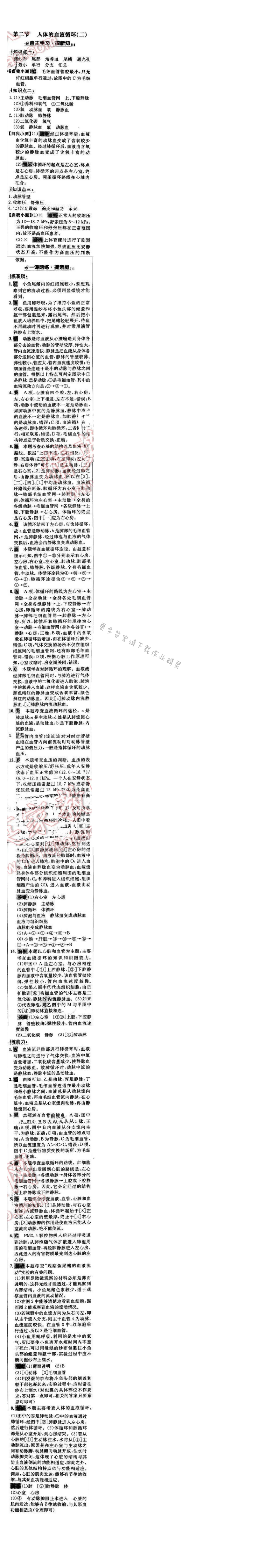 世纪金榜金榜学案七年级生物下册苏教版 第十章 第二节（二）
