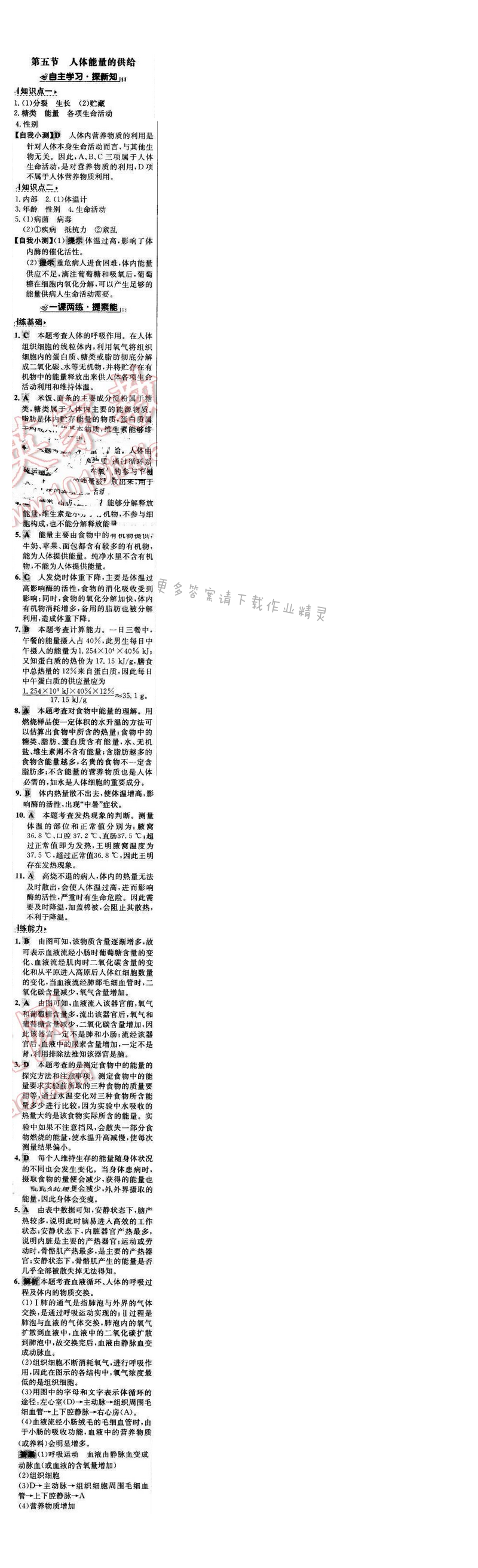 世纪金榜金榜学案七年级生物下册苏教版 第十章 第五节