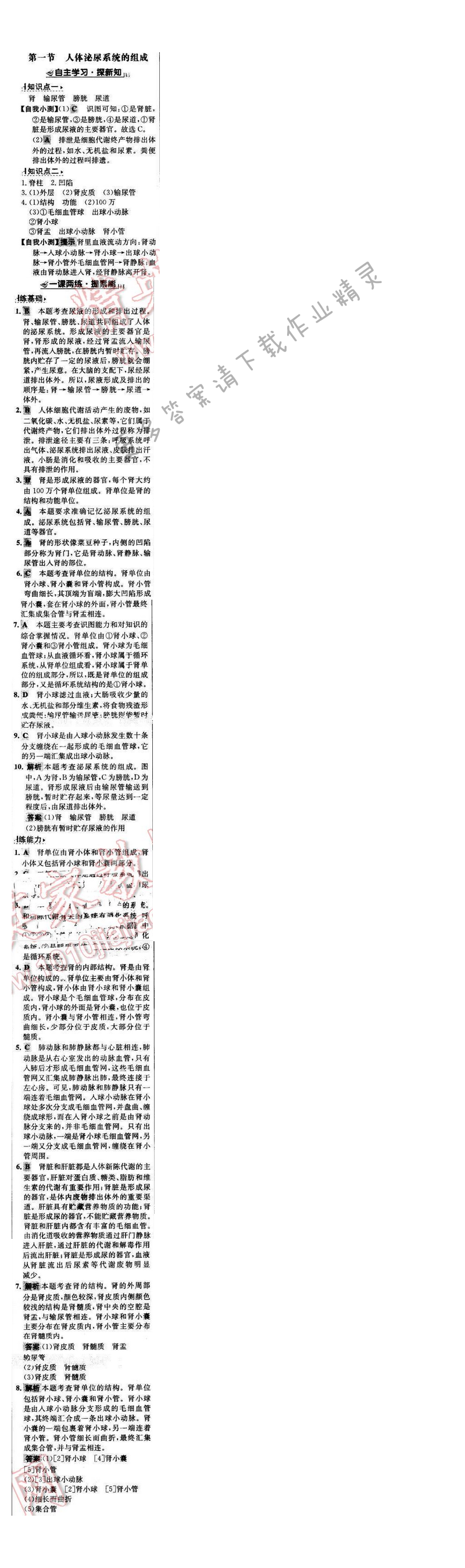 世纪金榜金榜学案七年级生物下册苏教版 第十一章 第一节
