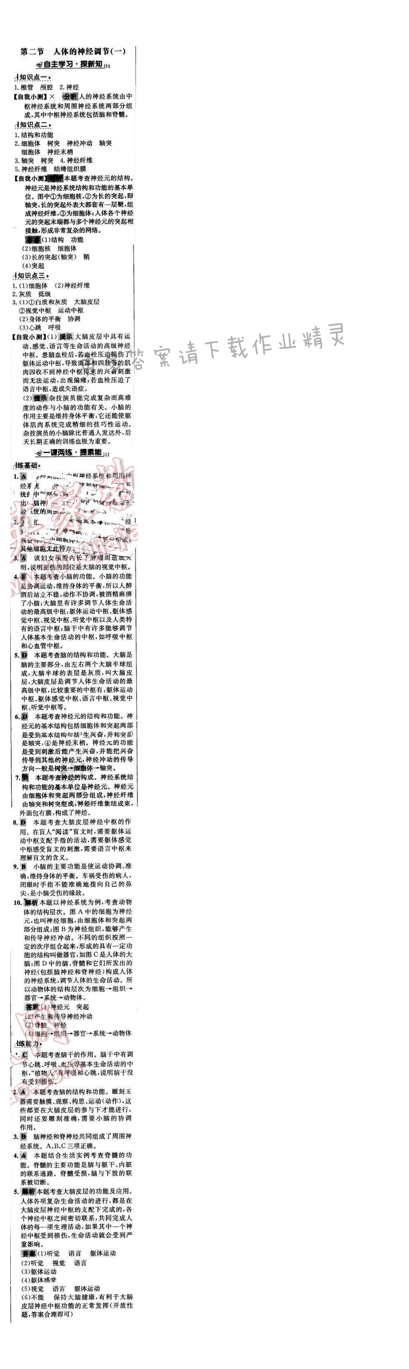 世纪金榜金榜学案七年级生物下册苏教版 第十二章 第二节（一）