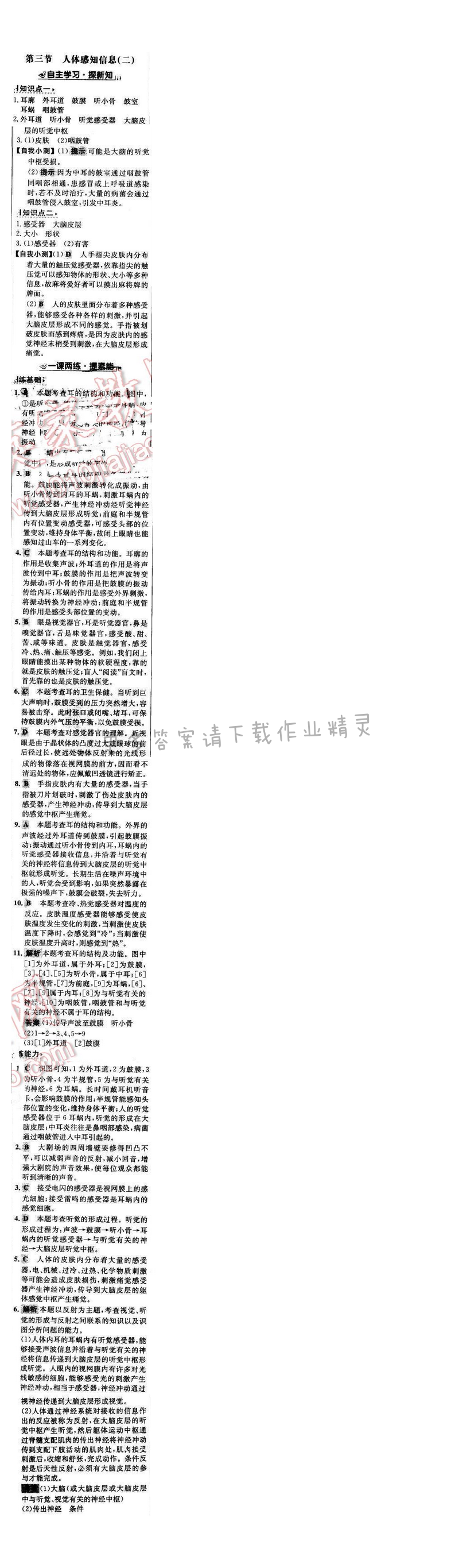 世纪金榜金榜学案七年级生物下册苏教版 第十二章 第三节（二）