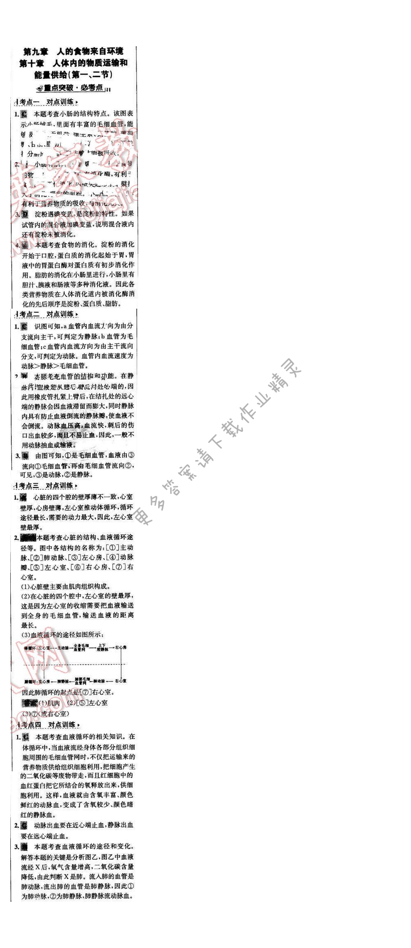 世纪金榜金榜学案七年级生物下册苏教版 期末复习课 第九章、第十章（第一、二节）