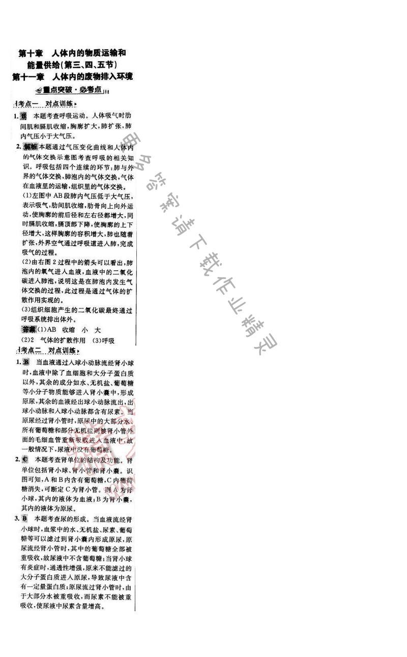 世纪金榜金榜学案七年级生物下册苏教版期末复习课第十章（第三、四、五节）第十一章