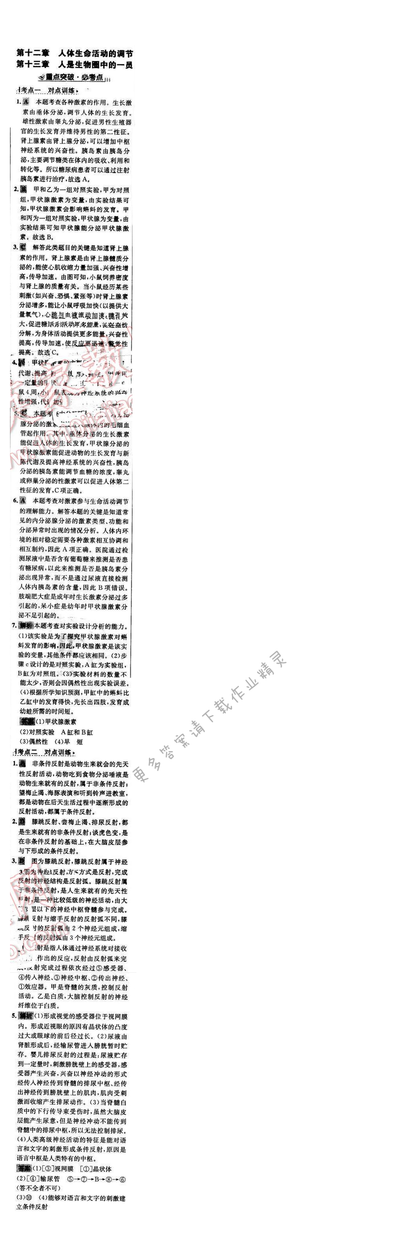 世纪金榜金榜学案七年级生物下册苏教版 期末复习课 第十二章、第十三章