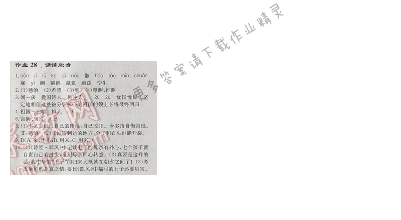 启东中学作业本七年级语文下册江苏版第五单元作业28