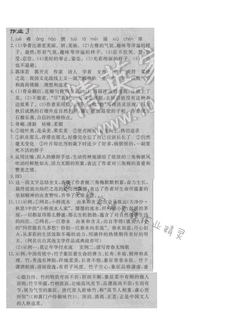 启东中学作业本八年级语文下册江苏版 第一单元 作业三