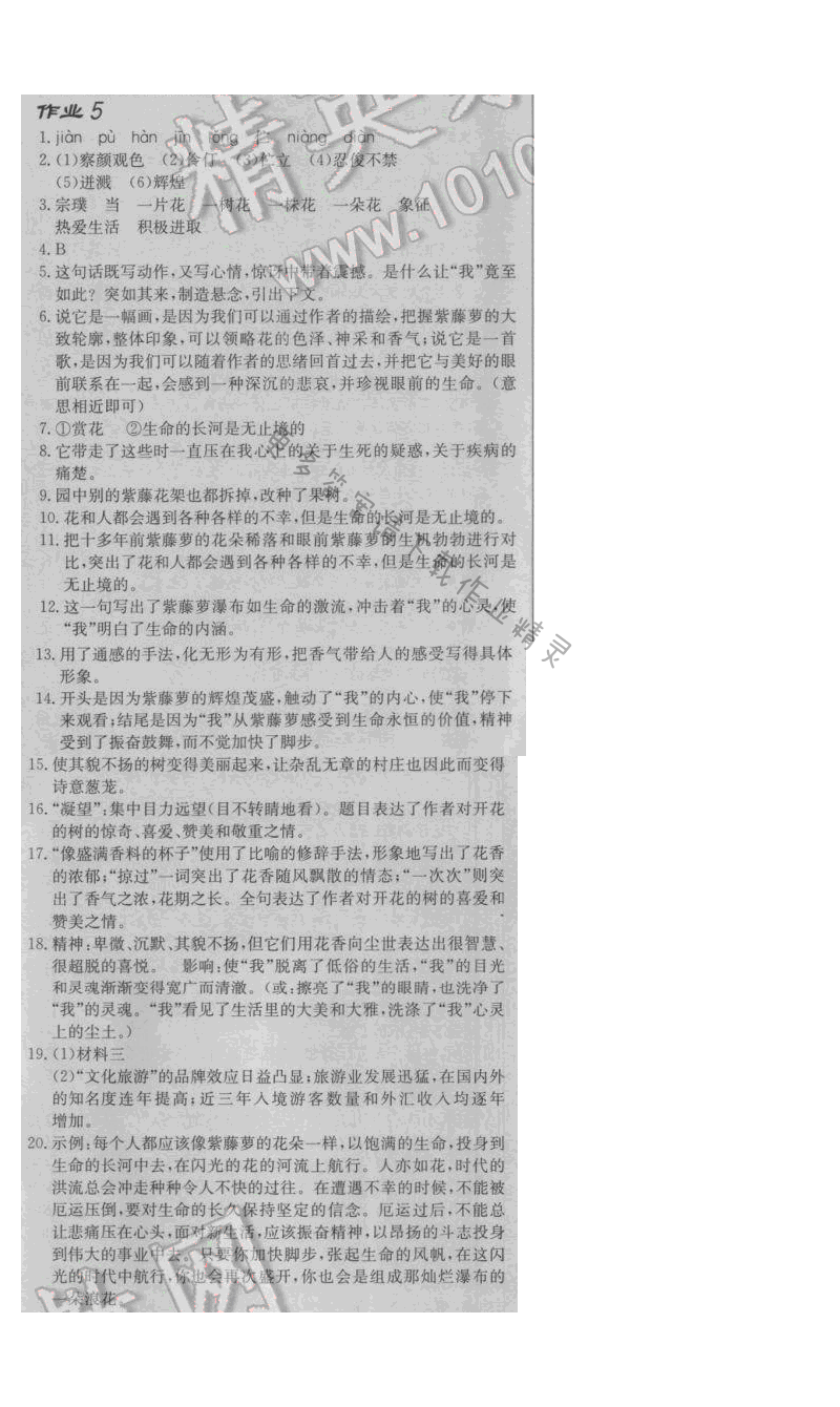 启东中学作业本八年级语文下册江苏版 第一单元 作业五
