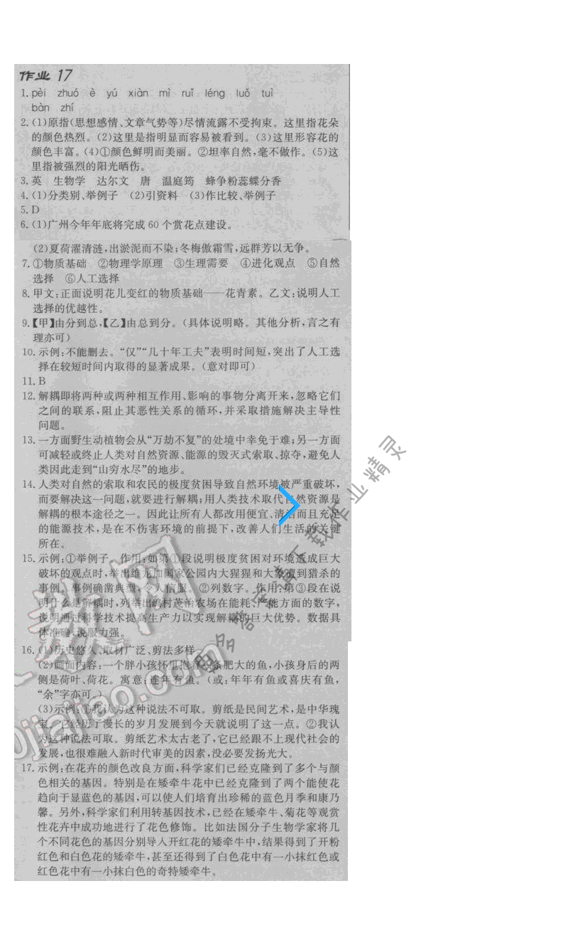 启东中学作业本八年级语文下册江苏版 第三单元 作业十七
