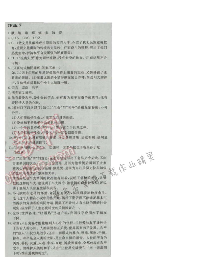 2017年启东中学作业本九年级语文下册江苏版 作业7