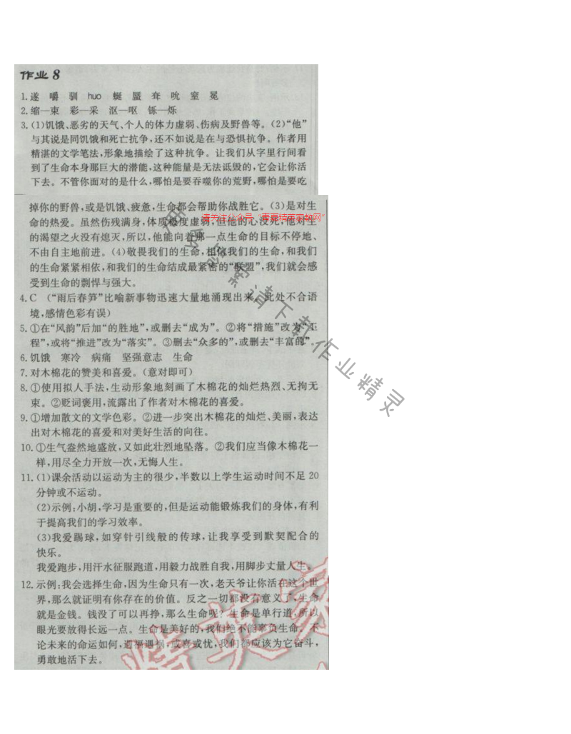 2017年启东中学作业本九年级语文下册江苏版 作业8