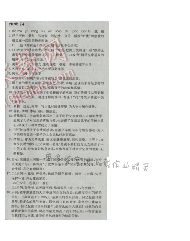 2017年启东中学作业本九年级语文下册江苏版 作业14