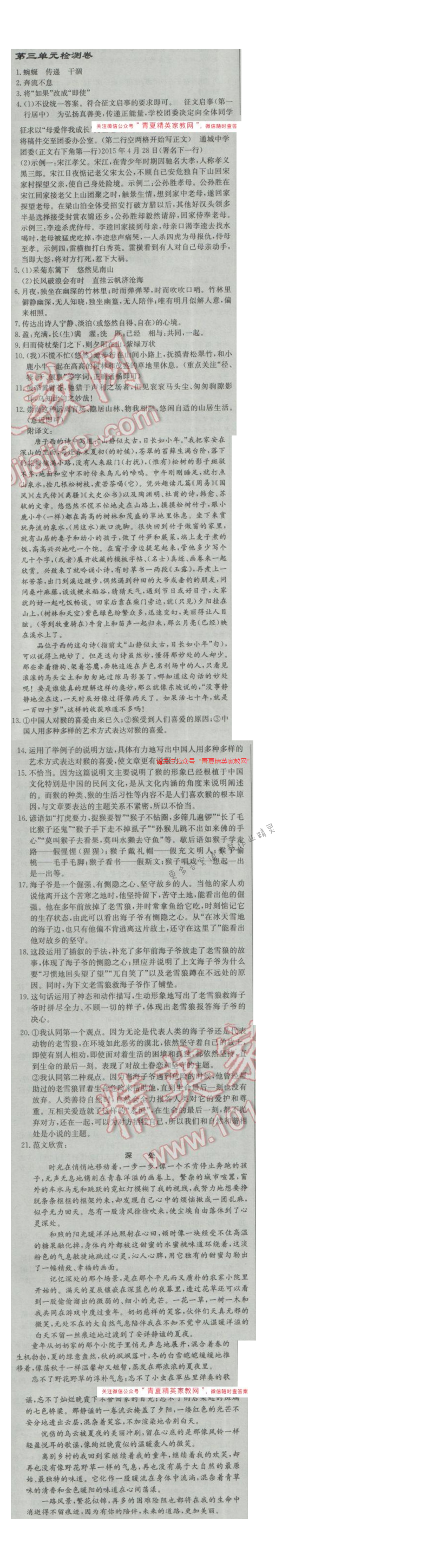 2017年启东中学作业本九年级语文下册江苏版 第三单元检测卷