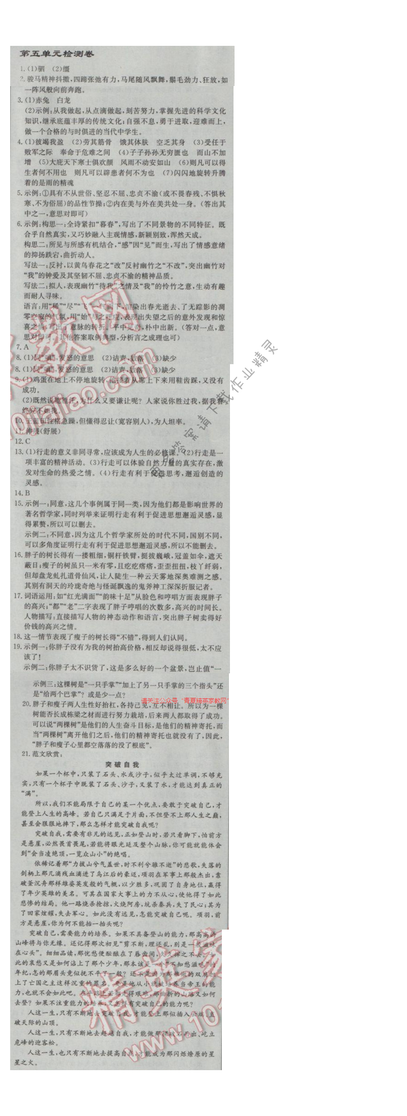 2017年启东中学作业本九年级语文下册江苏版 第五单元检测卷