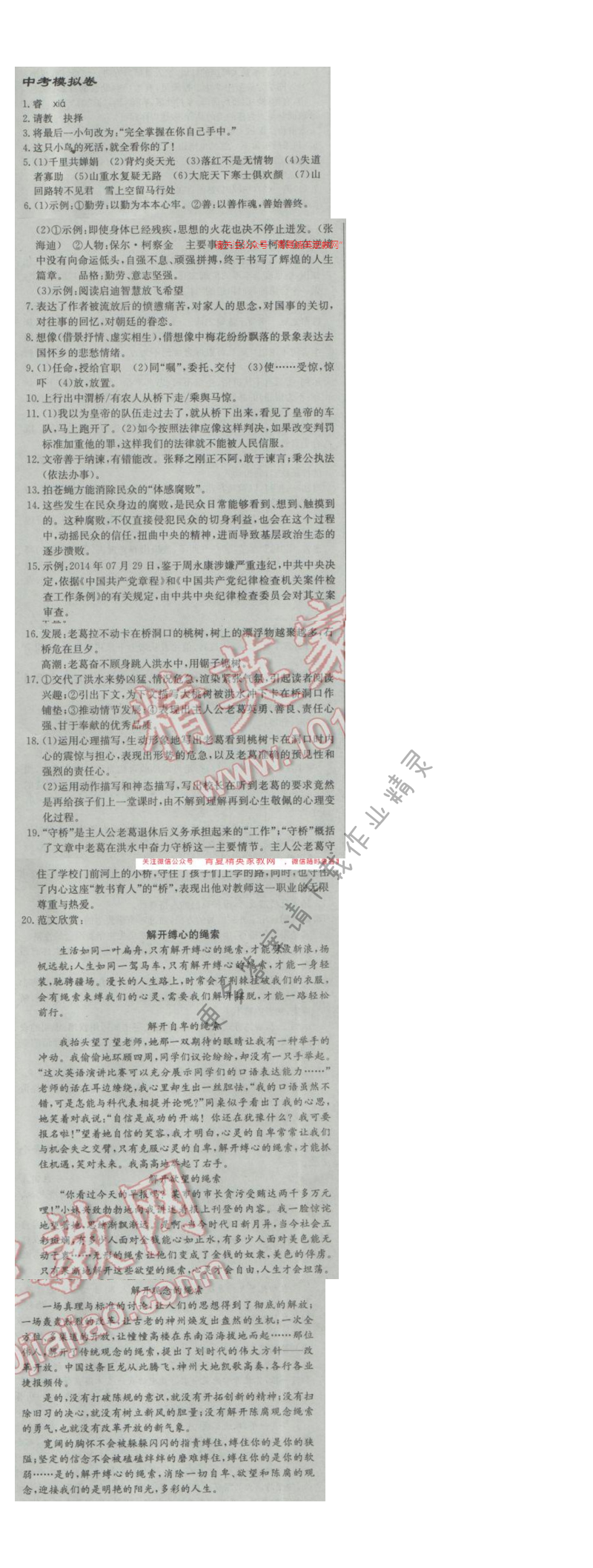 2017年启东中学作业本九年级语文下册江苏版 中招模拟