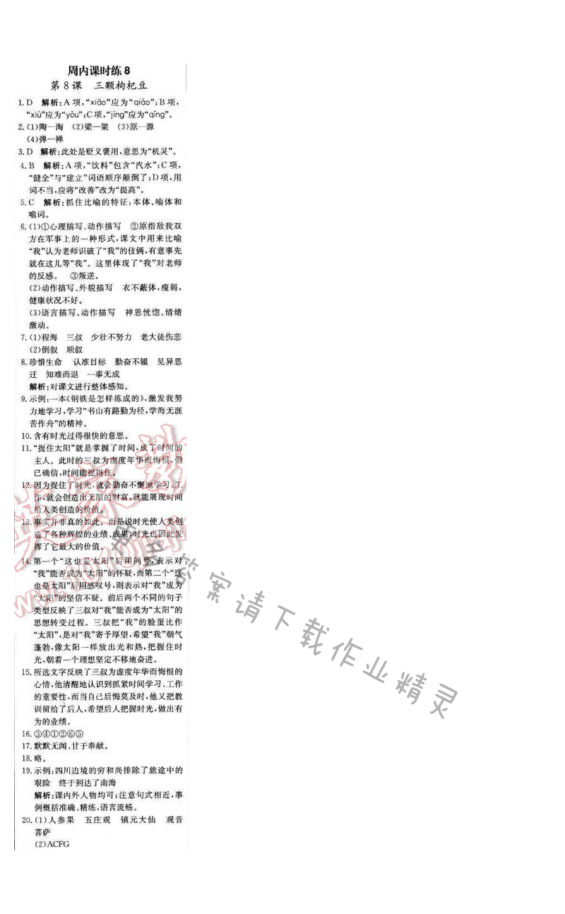 轻巧夺冠周测月考直通中考七年级语文下册江苏版 第二单元 周内课时练8