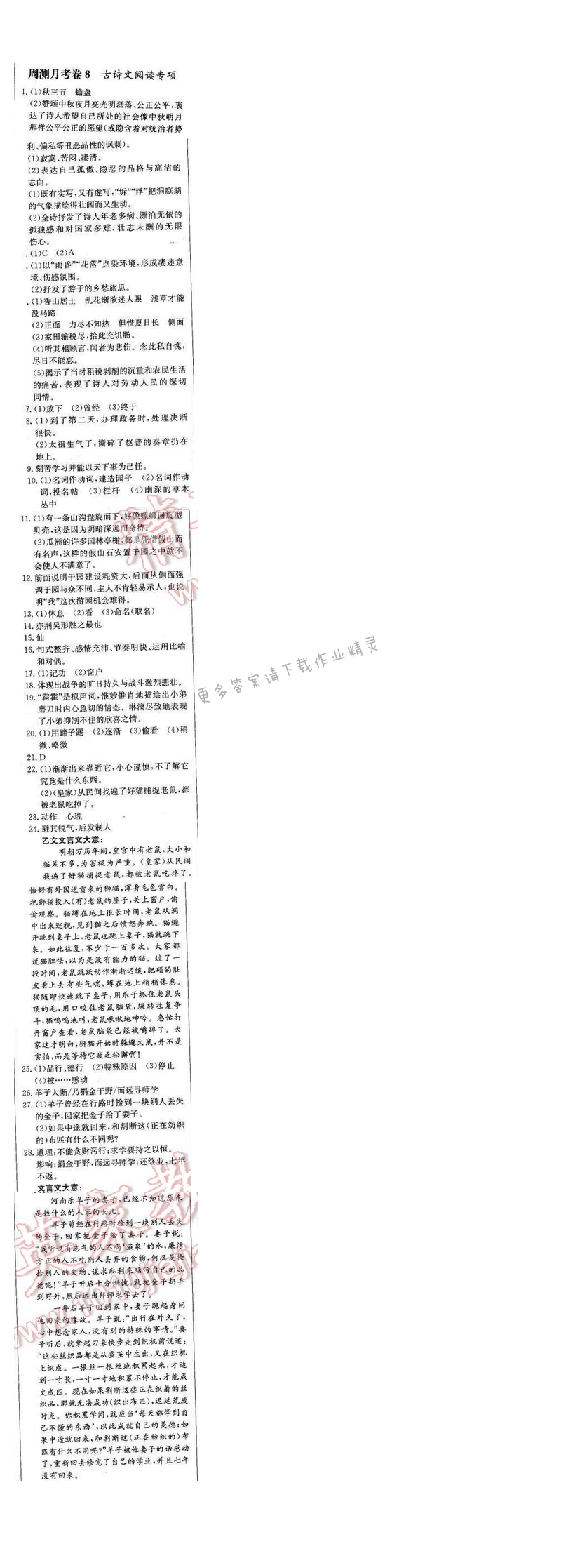 轻巧夺冠周测月考直通中考七年级语文下册江苏版 周测月考卷8
