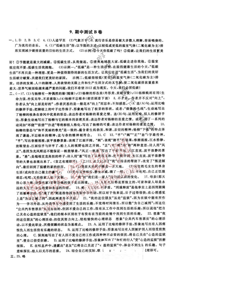 2016年启东黄冈大试卷九年级语文下册江苏版期中测试B卷