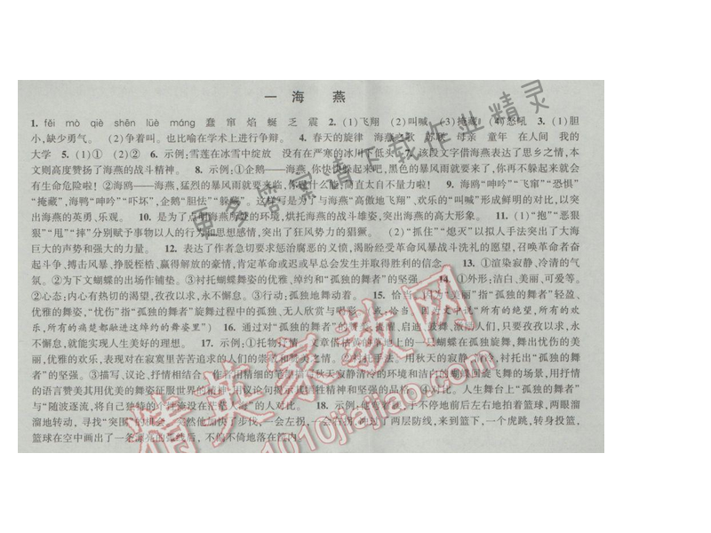2017经纶学典新课时作业八年级语文下册江苏版 第一单元 一 海燕