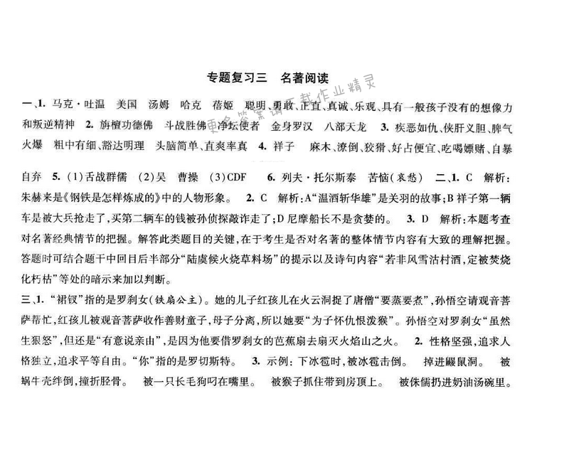 2017年经纶学典新课时作业九年级语文下册江苏版 专题复习三 名著阅读