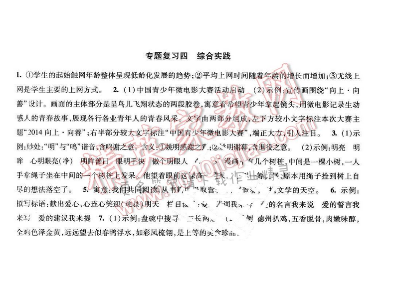 2017年经纶学典新课时作业九年级语文下册江苏版 专题复习四 综合实践