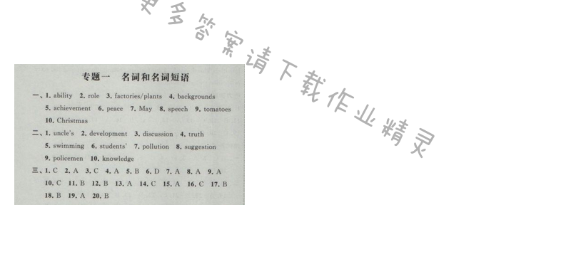 2017年经纶学典新课时作业九年级英语下册江苏版 专题一 名词和名词短语
