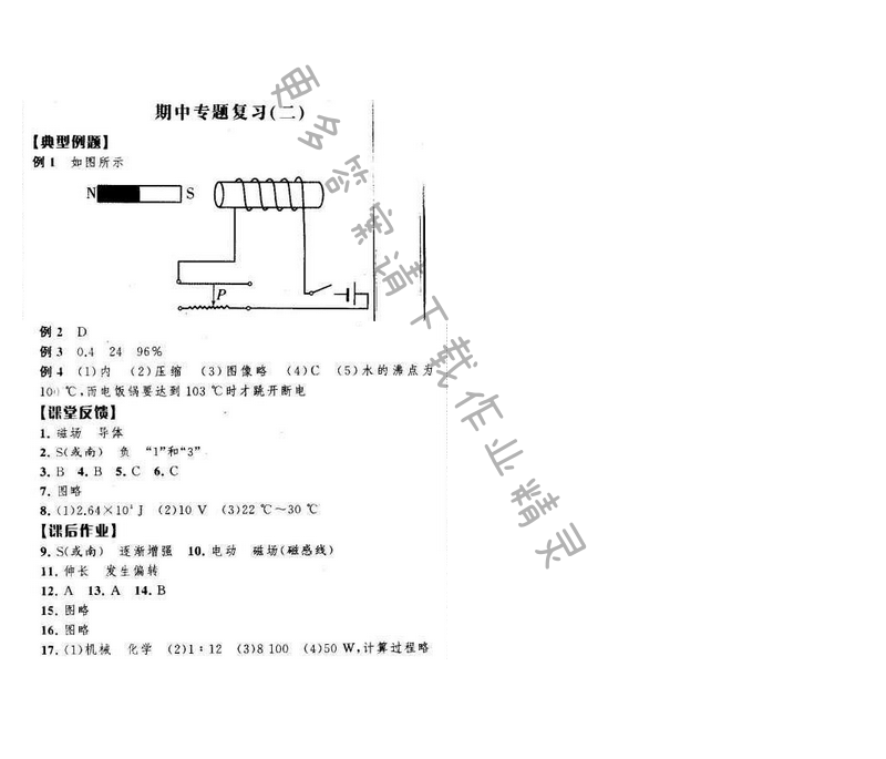 经纶学典学霸九年级物理下册江苏版 期中专题复习（二）