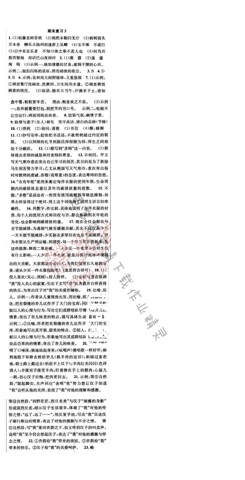 2017年提优训练非常阶段123八年级语文下册江苏版 期末复习 3