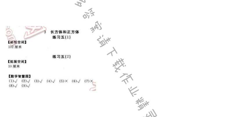 2016年新编基础训练五年级数学下册人教版 练习五