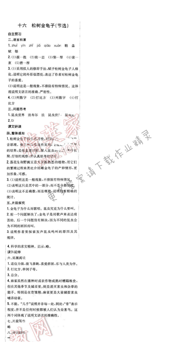 2016年新编基础训练七年级语文下册苏教版 第十六课