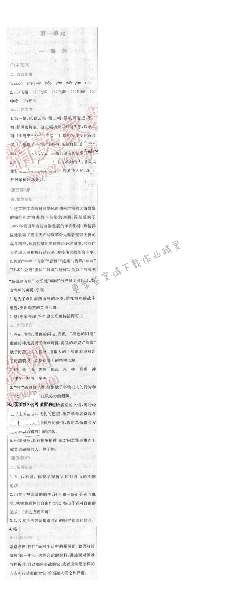 2016年新编基础训练八年级语文下册苏教版 第一课