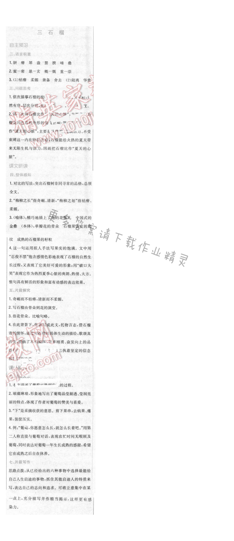 2016年新编基础训练八年级语文下册苏教版 第三课