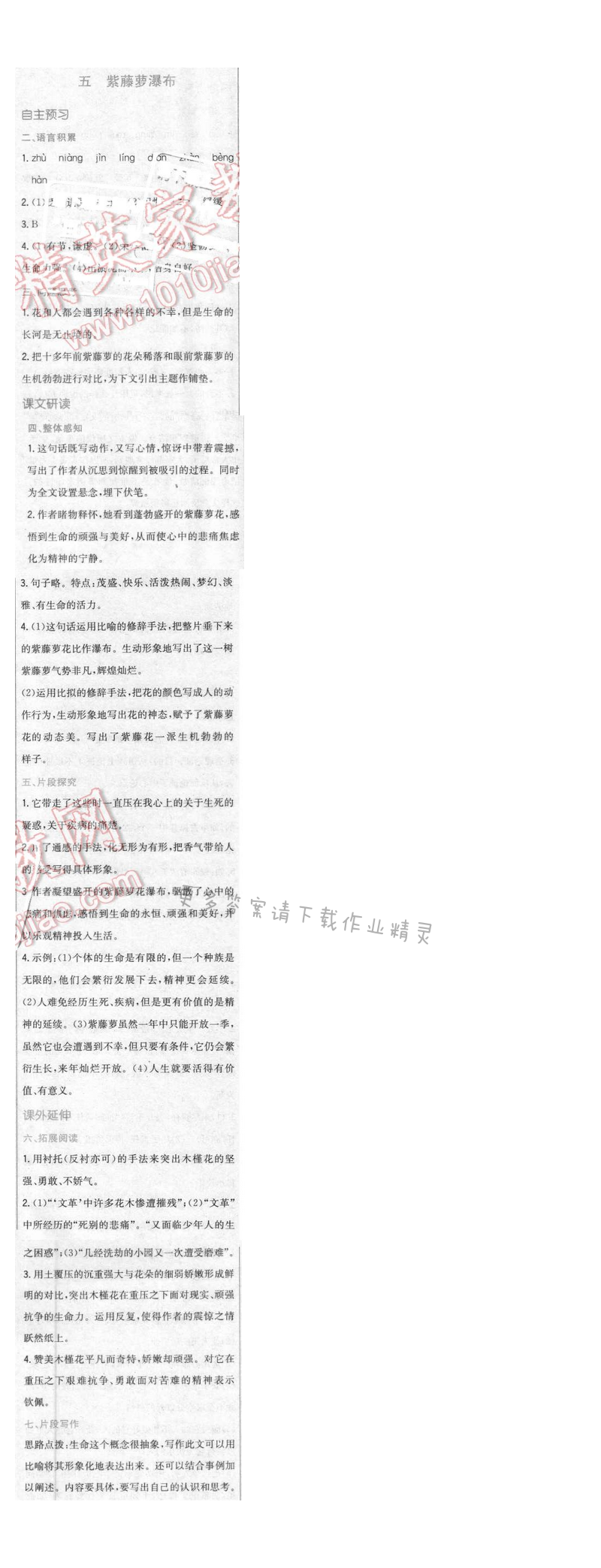 2016年新编基础训练八年级语文下册苏教版 第五课