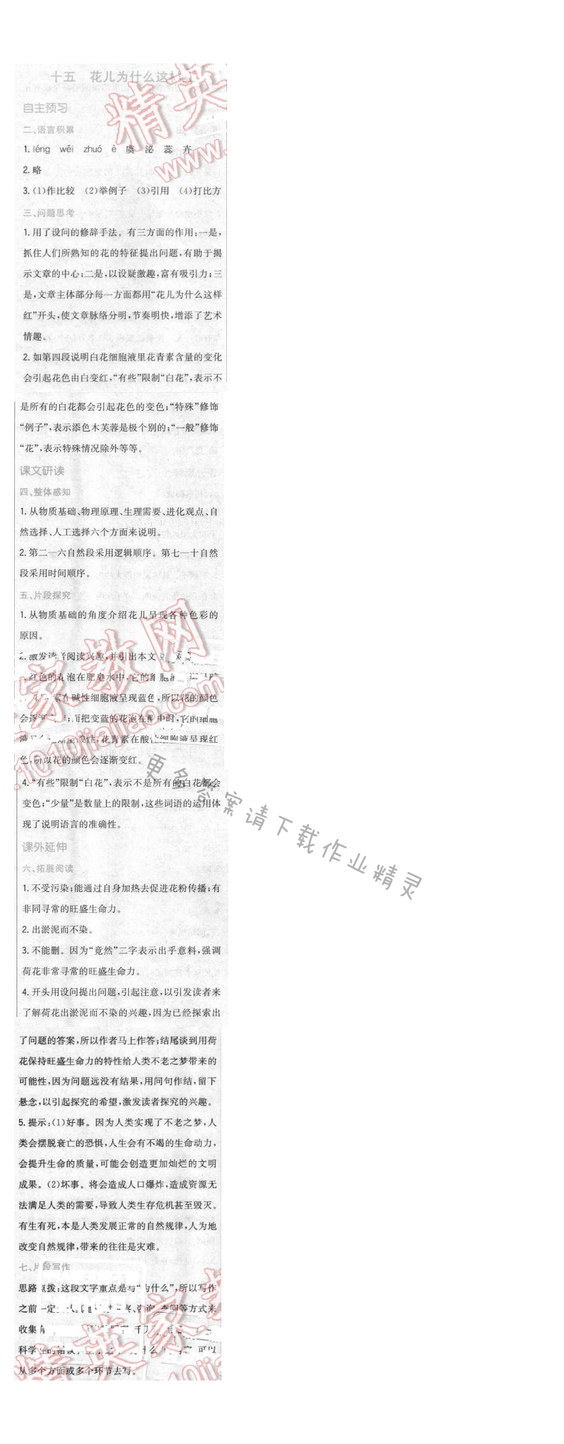 2016年新编基础训练八年级语文下册苏教版 第十五课