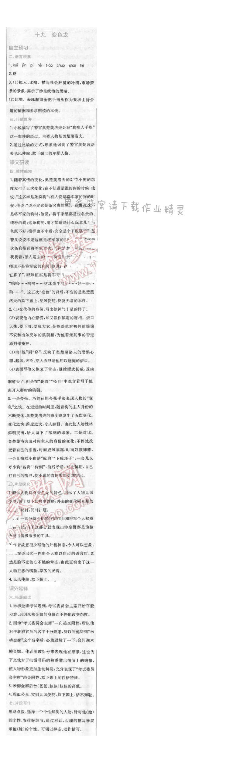 2016年新编基础训练八年级语文下册苏教版 第十九课